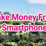 5 Ways to make money from HP and the Internet Without Capital