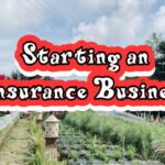 Tips for Starting an Insurance Business for Beginners