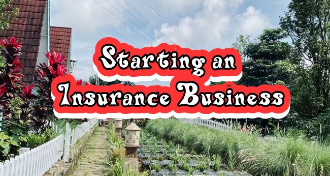 Tips for Starting an Insurance Business for Beginners