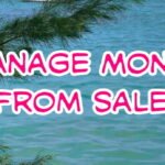 How To Manage Money From Sales In 2026