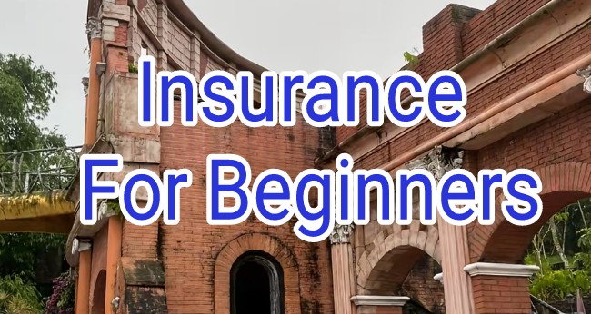 How to choose the Right Life Insurance For Beginners