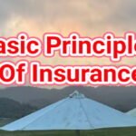 The Importance Of Understanding The Basic Principles Of Insurance.